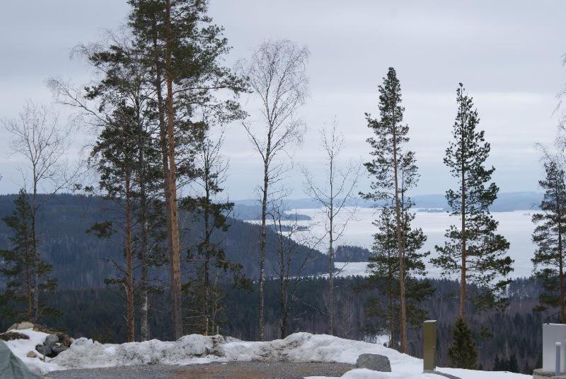 Riihivuoren Lomakylae Muurame Pokój zdjęcie